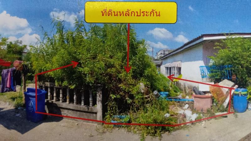 ปากพนังฝั่งตะวันตก ปากพนัง นครศรีธรรมราช