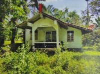 บ้านเดี่ยวหลุดจำนอง ธ.ธนาคารอาคารสงเคราะห์ ท่ายาง ทุ่งใหญ่ นครศรีธรรมราช