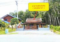 https://nakhonsithammarat.ohoproperty.com/217111/ธนาคารอาคารสงเคราะห์/ขายบ้านเดี่ยว/หลักช้าง//นครศรีธรรมราช/