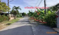 https://nakhonsithammarat.ohoproperty.com/204916/ธนาคารกสิกรไทย/ขายที่ดินว่างเปล่า/โพธิ์เสด็จ/เมืองนครศรีธรรมราช/นครศรีธรรมราช/