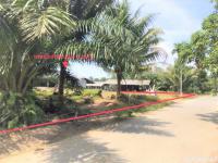 https://nakhonsithammarat.ohoproperty.com/165696/ธนาคารกสิกรไทย/ขายบ้านเดี่ยว/ช้างกลาง/ช้างกลาง/นครศรีธรรมราช/
