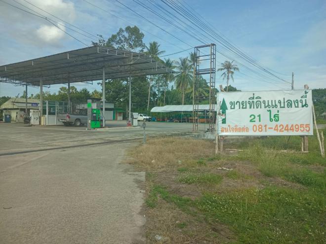 เชียรเขา เฉลิมพระเกียรติ นครศรีธรรมราช
